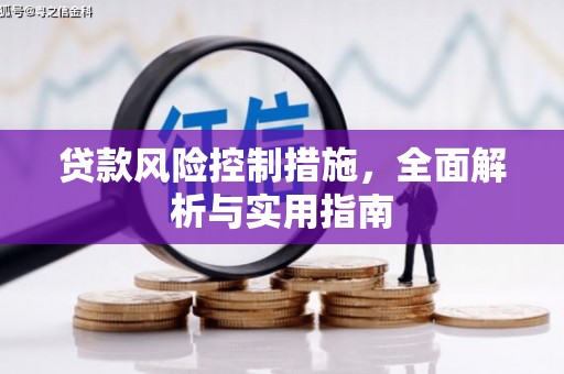 千阳贷款风险控制措施，全面解析与实用指南