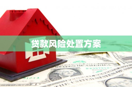 前镇贷款风险处置方案