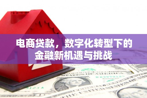 遵化市电商贷款，数字化转型下的金融新机遇与挑战