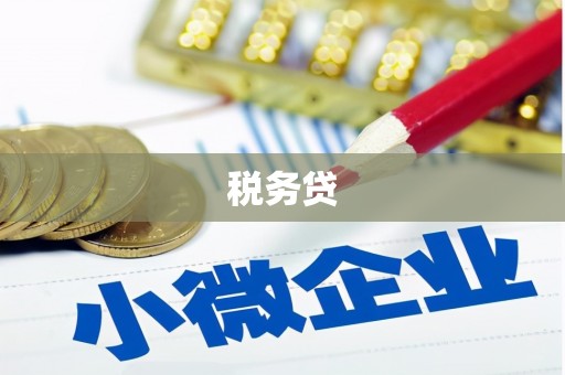 柳东税务贷