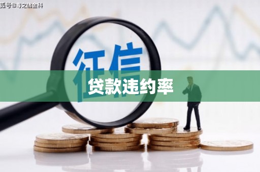 湖西贷款违约率