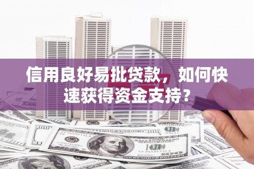 莿桐信用良好易批贷款，如何快速获得资金支持？