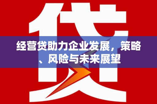 荥阳经营贷助力企业发展，策略、风险与未来展望