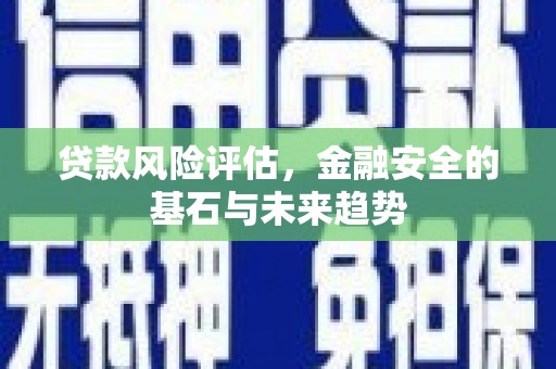 将军贷款风险评估，金融安全的基石与未来趋势