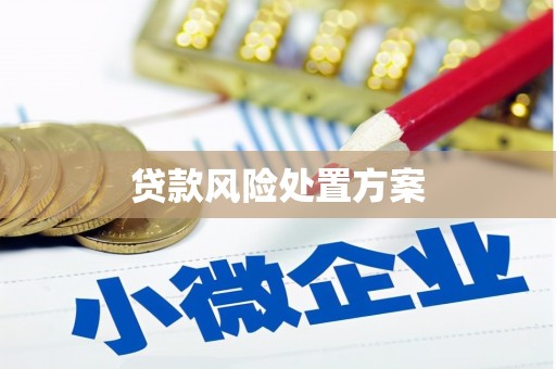 德清贷款风险处置方案