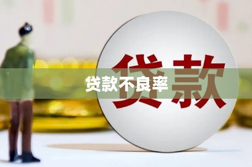 平顶山贷款不良率