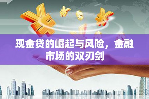 丽水现金贷的崛起与风险，金融市场的双刃剑