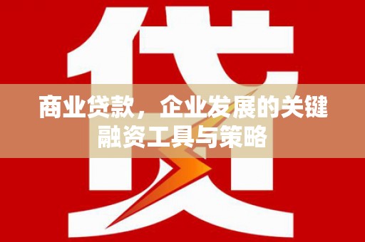 八宿商业贷款，企业发展的关键融资工具与策略