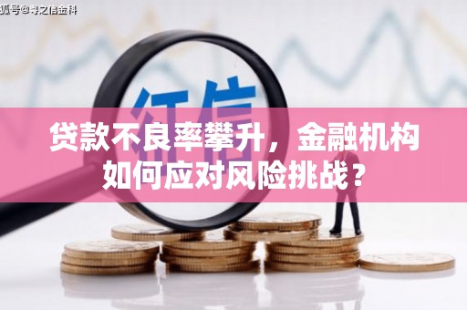 大丰贷款不良率攀升，金融机构如何应对风险挑战？