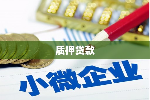 夏县质押贷款