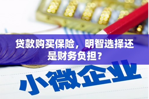 松溪贷款购买保险，明智选择还是财务负担？