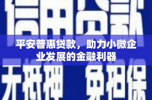 永新平安普惠贷款，助力小微企业发展的金融利器