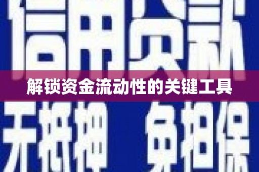 漳县解锁资金流动性的关键工具