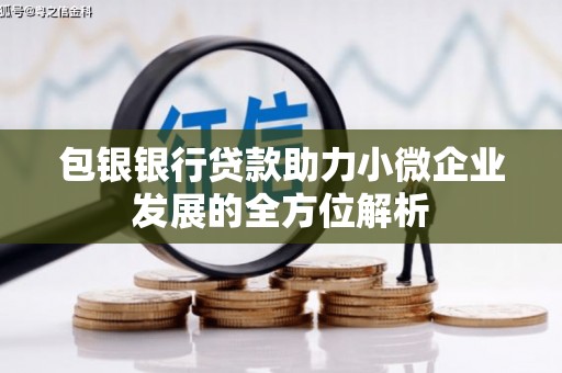 龙岗包银银行贷款助力小微企业发展的全方位解析 龙岗包银银行贷款助力小微企业发展的全方位解析