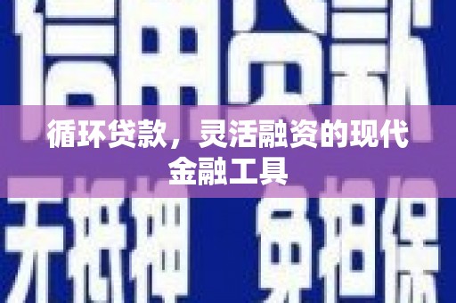 萨嘎循环贷款，灵活融资的现代金融工具