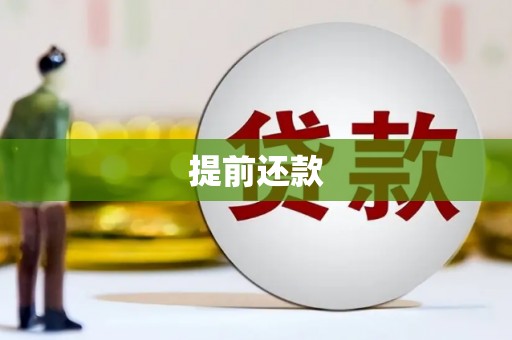 长岭提前还款