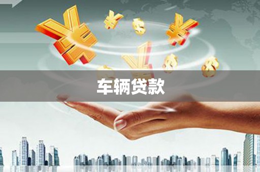 大内车辆贷款