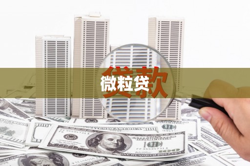曲水微粒贷