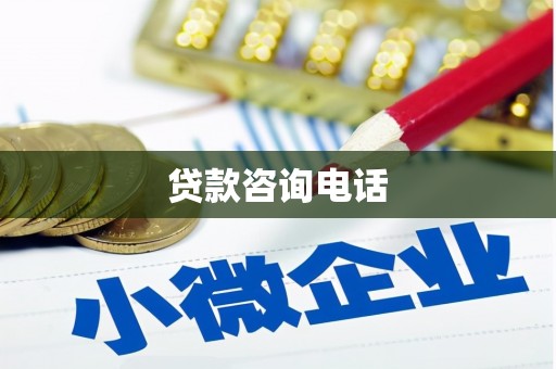 延津贷款咨询电话