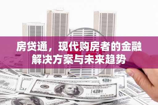 民和房贷通，现代购房者的金融解决方案与未来趋势