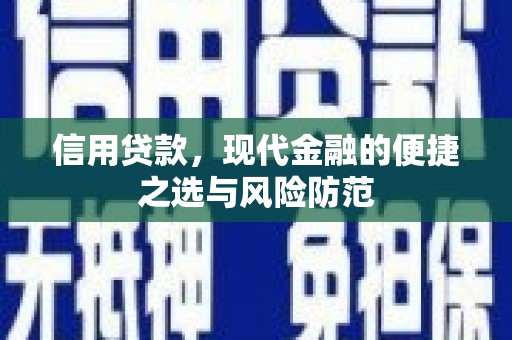 贞丰信用贷款，现代金融的便捷之选与风险防范