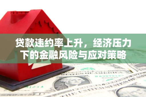 巴里坤贷款违约率上升，经济压力下的金融风险与应对策略
