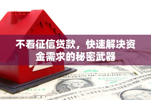 西青不看征信贷款，快速解决资金需求的秘密武器