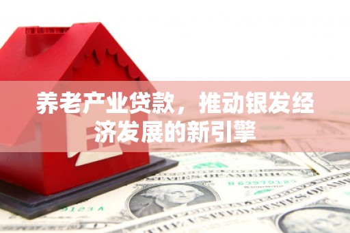 大溪养老产业贷款，推动银发经济发展的新引擎