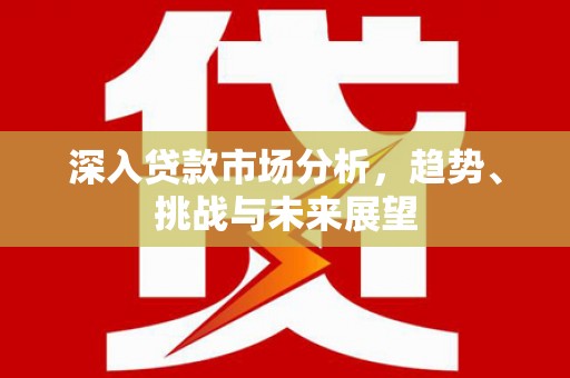 东乡族深入贷款市场分析，趋势、挑战与未来展望