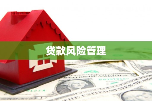 光泽贷款风险管理