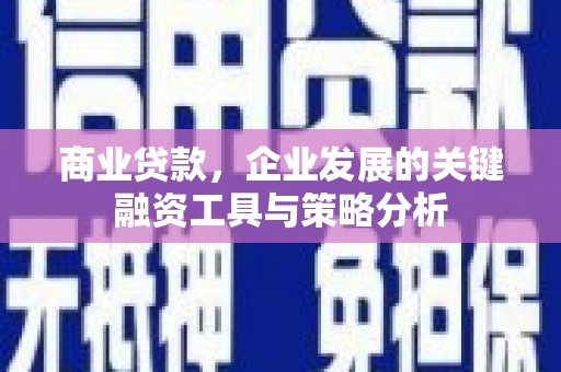 丽水商业贷款，企业发展的关键融资工具与策略分析
