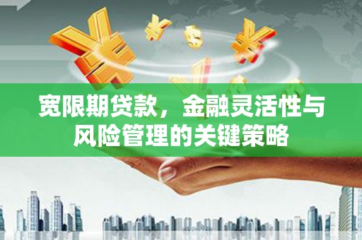 盘县宽限期贷款，金融灵活性与风险管理的关键策略