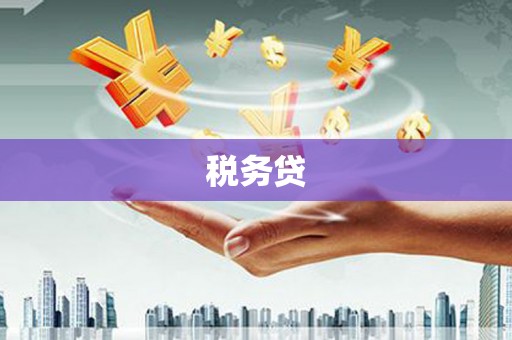 松溪税务贷