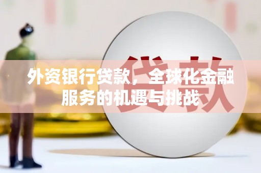 蓬溪外资银行贷款，全球化金融服务的机遇与挑战