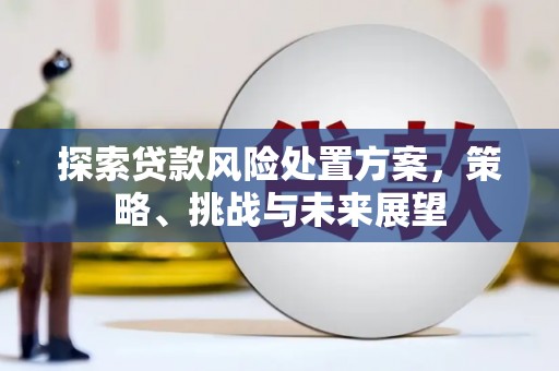 西秀探索贷款风险处置方案，策略、挑战与未来展望