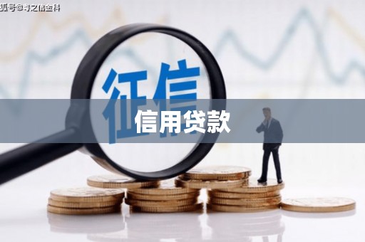 阳原信用贷款