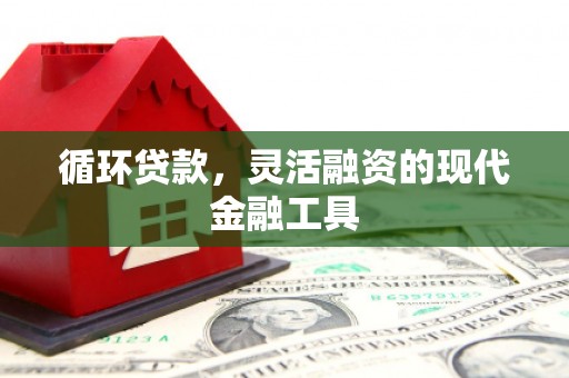 洋县循环贷款，灵活融资的现代金融工具
