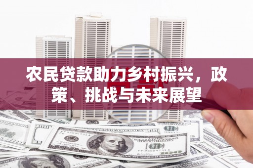 嘉定农民贷款助力乡村振兴，政策、挑战与未来展望