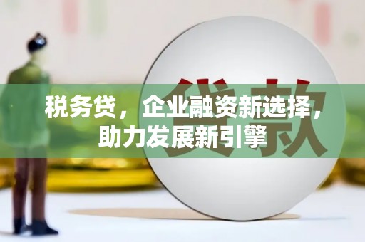 天宁税务贷，企业融资新选择，助力发展新引擎