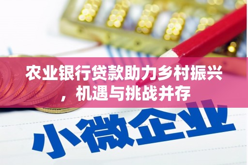 湖南农业银行贷款助力乡村振兴，机遇与挑战并存