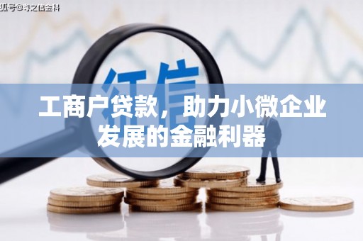 昭苏工商户贷款，助力小微企业发展的金融利器
