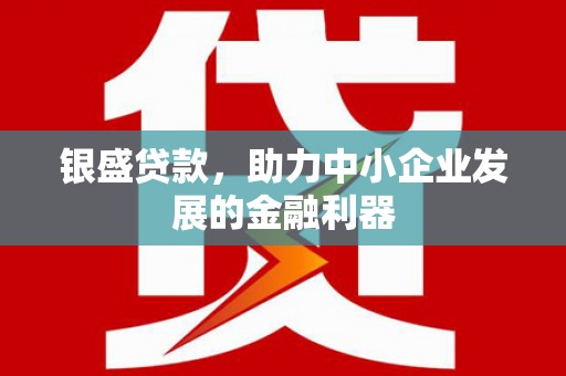 红安银盛贷款，助力中小企业发展的金融利器