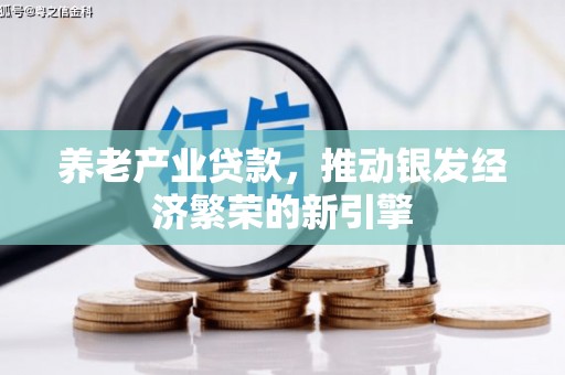 兴文养老产业贷款，推动银发经济繁荣的新引擎