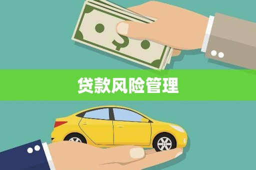 阿瓦提贷款风险管理