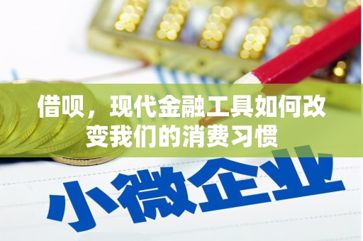 芦山借呗，现代金融工具如何改变我们的消费习惯