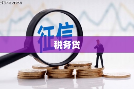 北海税务贷