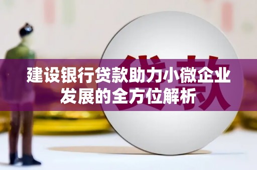 岳阳楼建设银行贷款助力小微企业发展的全方位解析