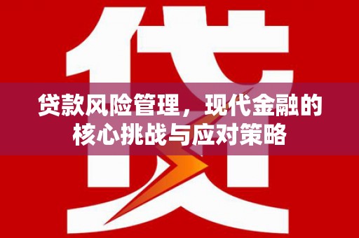 爱民贷款风险管理，现代金融的核心挑战与应对策略