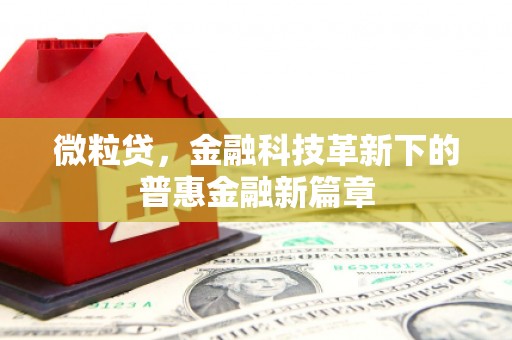 沙溪微粒贷，金融科技革新下的普惠金融新篇章