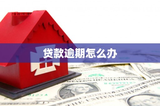 上林贷款逾期怎么办
